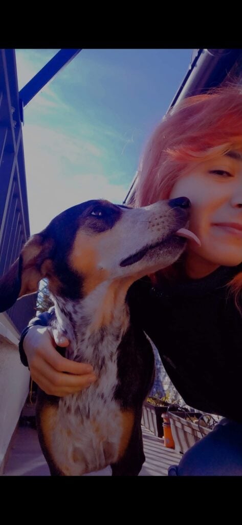 manuela ceche pet sitting4