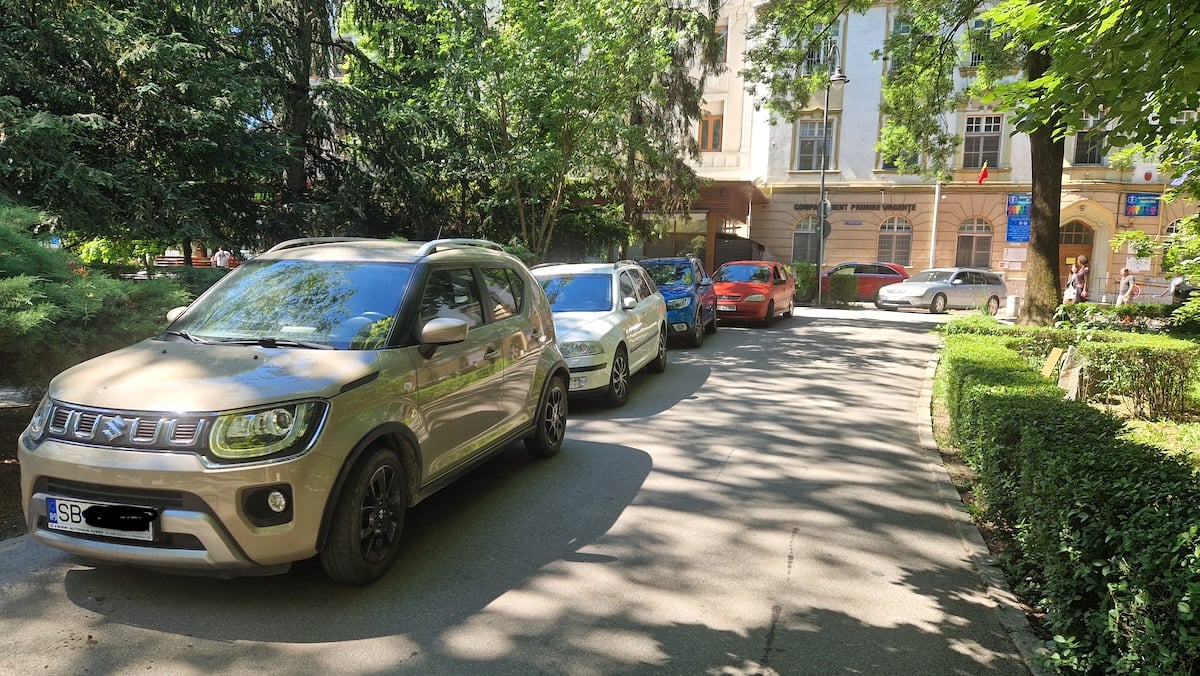 masini parcate in parc
