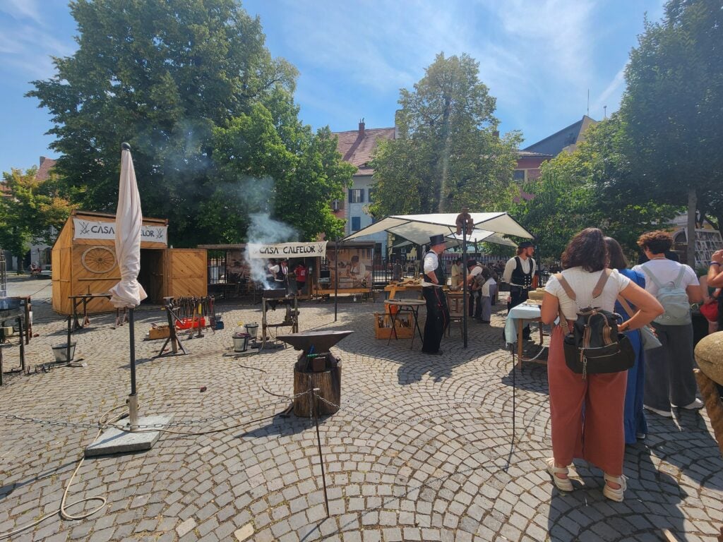 calfe și turiști 2026