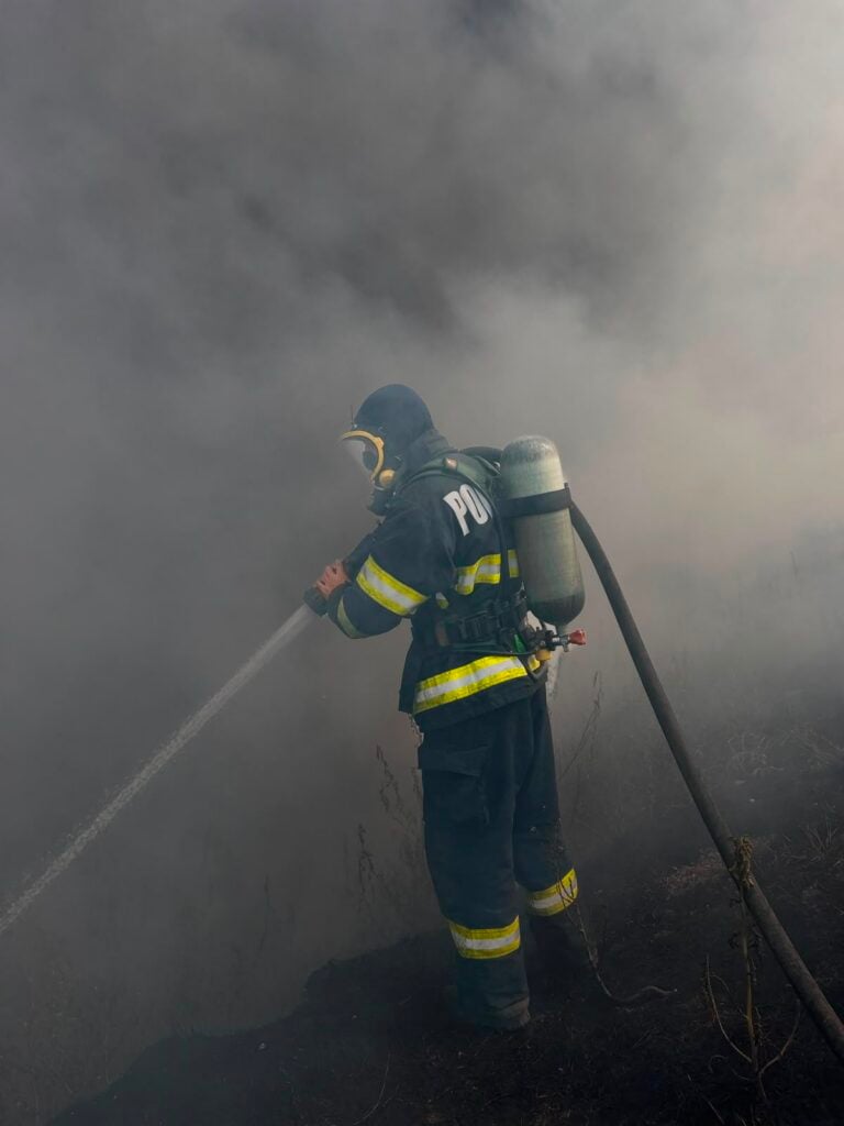 Incendiu vegetatie tarnava1