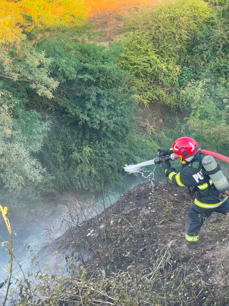 Incendiu vegetatie tarnava2