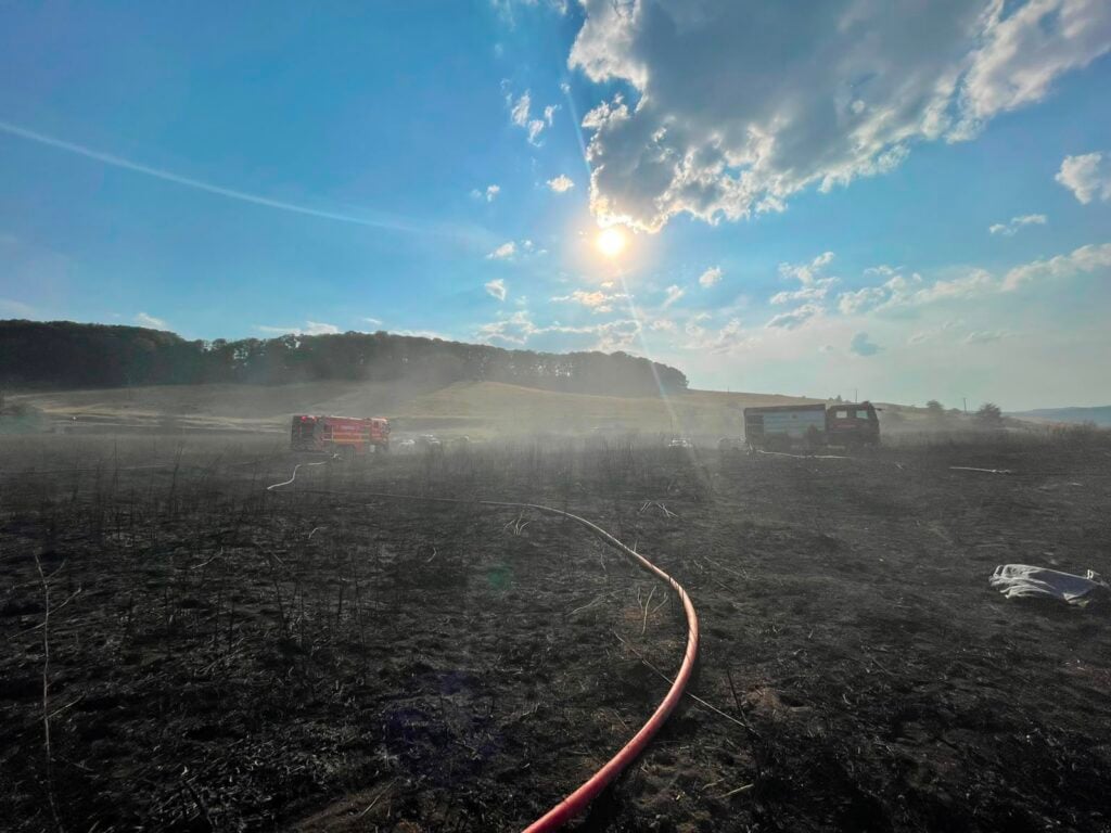 Incendiu vegetatie tarnava3