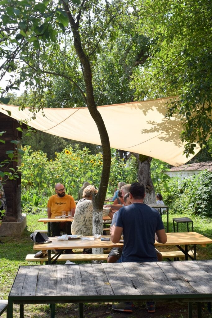 Foto transmisă de Asociația Culture Reserve și Asociația Contrafort Pro Kleinschenk/
Cincșor