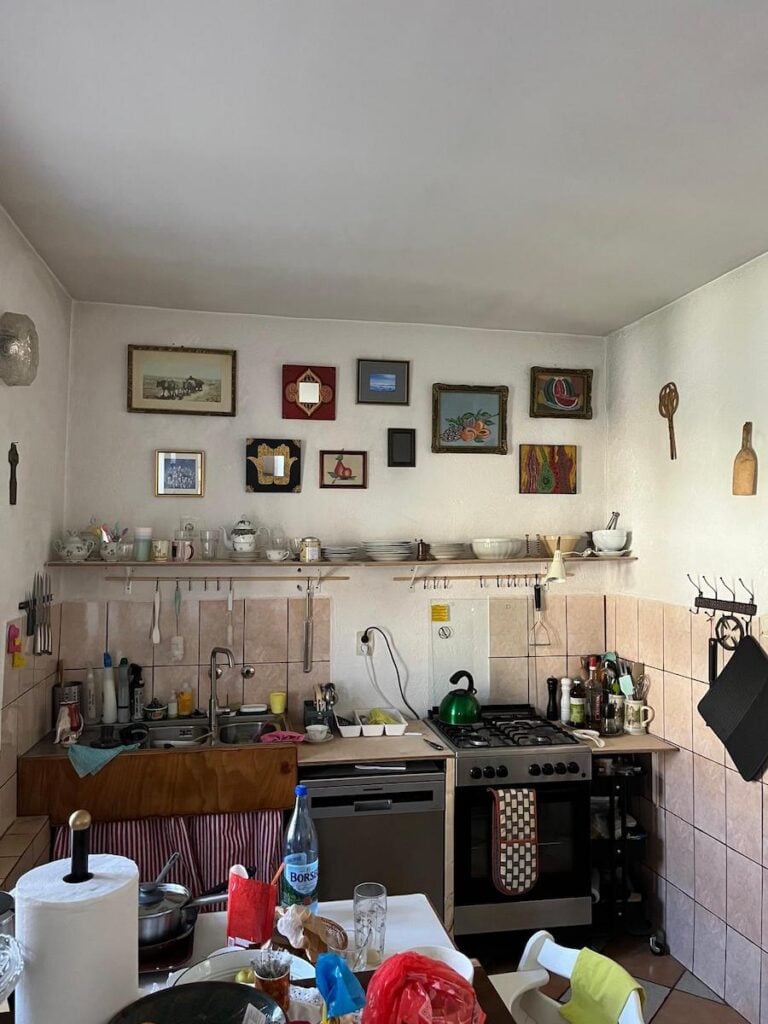 andreea zahn casa nemsa3