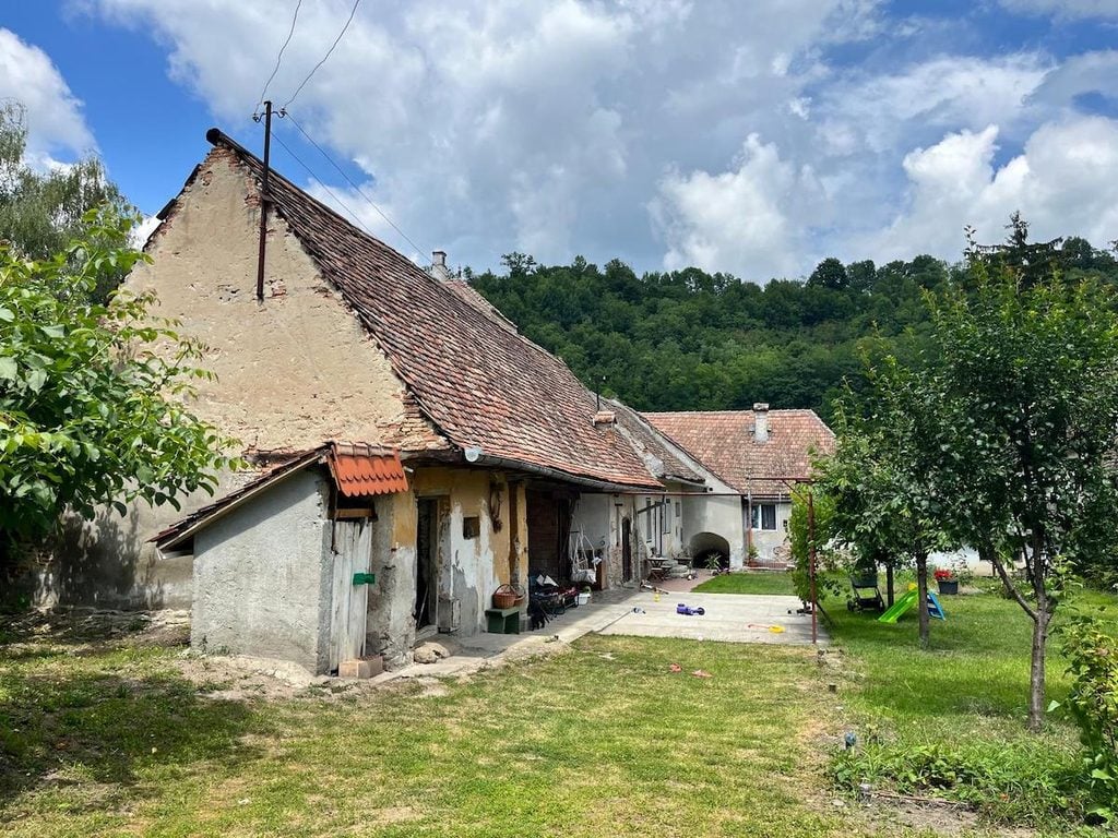 andreea zahn casa nemsa8