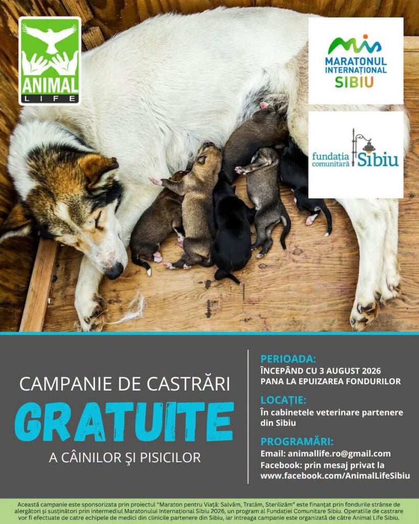 campanie sterilizare animal life
