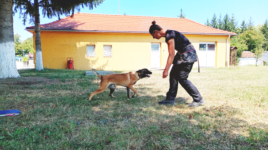 iatac poza 8 exp