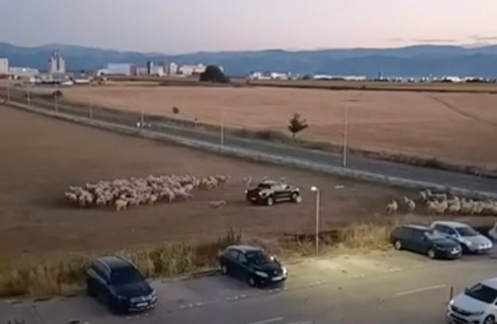 Foto: Captură video