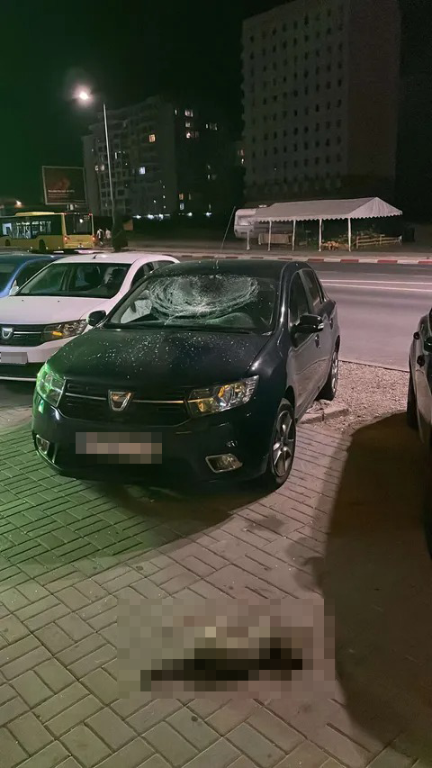 pisica selimbar 1 pixelat