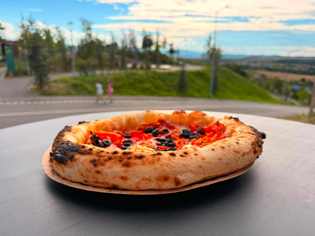 pizza wagon micile1