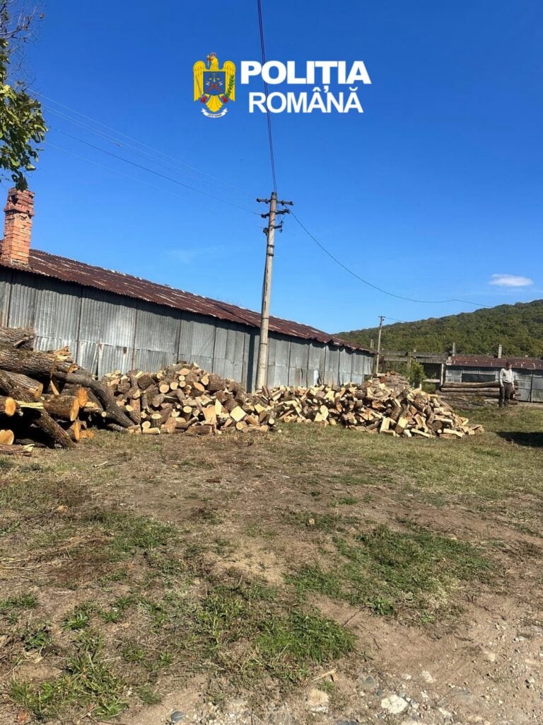 Au fost recuperați aproape 20.000 de metri cubi de lemn furat. Foto: Inspectoratul de Poliție Județean Sibiu