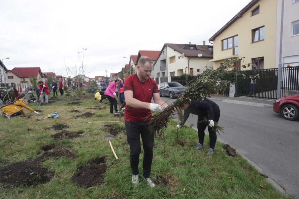 zona plantare copaci Aleea Michelangelo foto Primaria