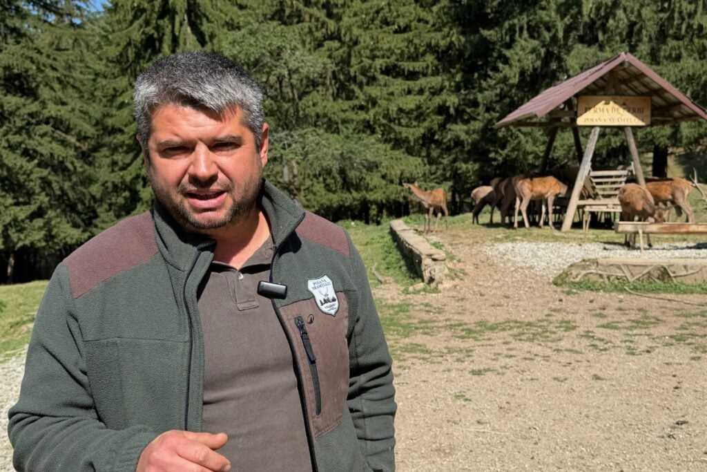 Dani Stoica, administratorul Fermei de cerbi Poiana Neamtului. Foto: turnulsfatului.ro