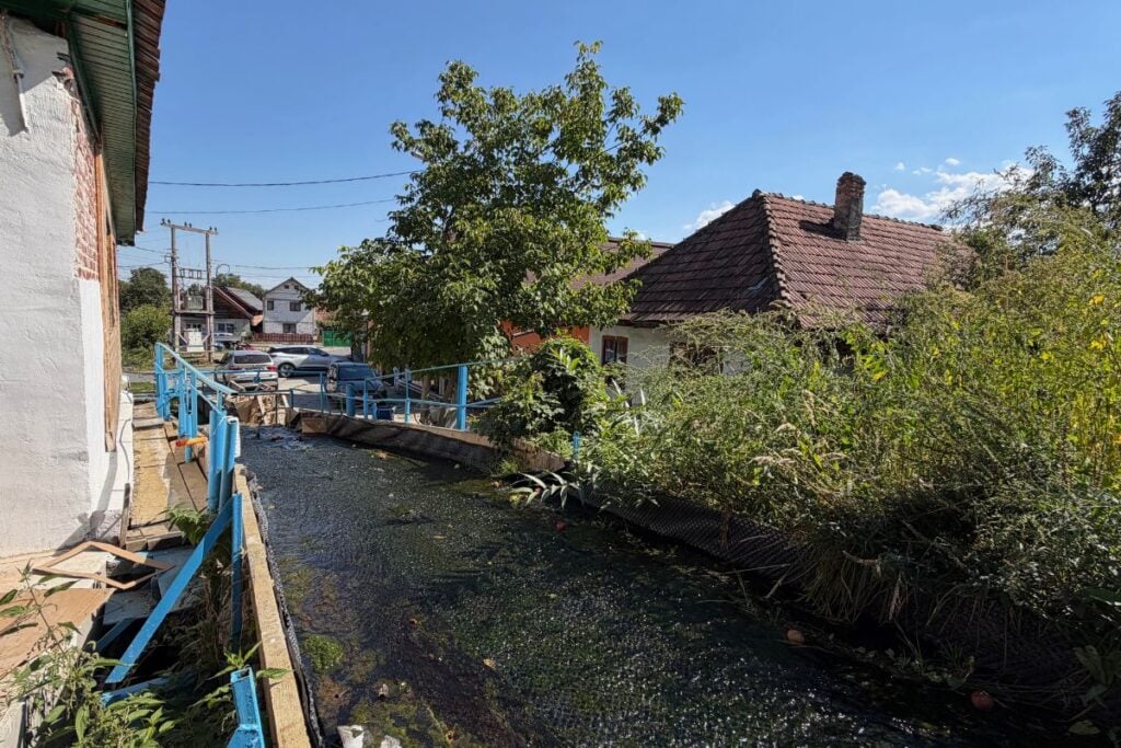 Pe jgheabul morii de abia curge un firicel de apă