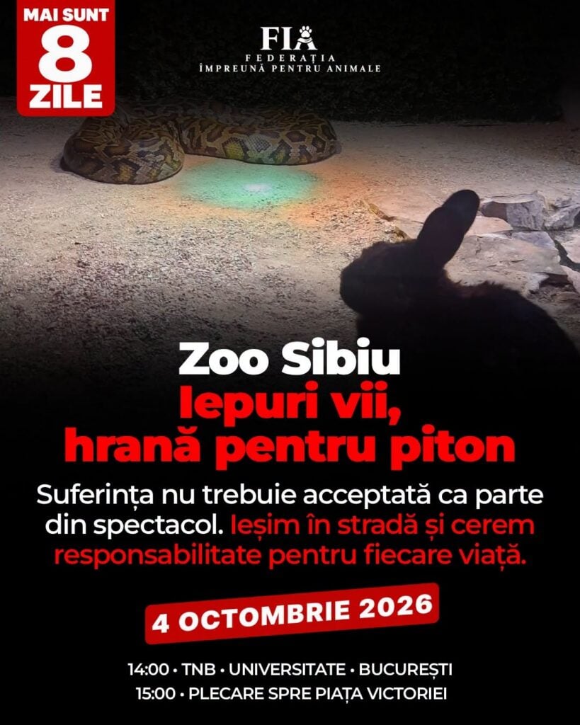 Imaginea a fost preluată pentru afișe. Foto: Facebook / FIA