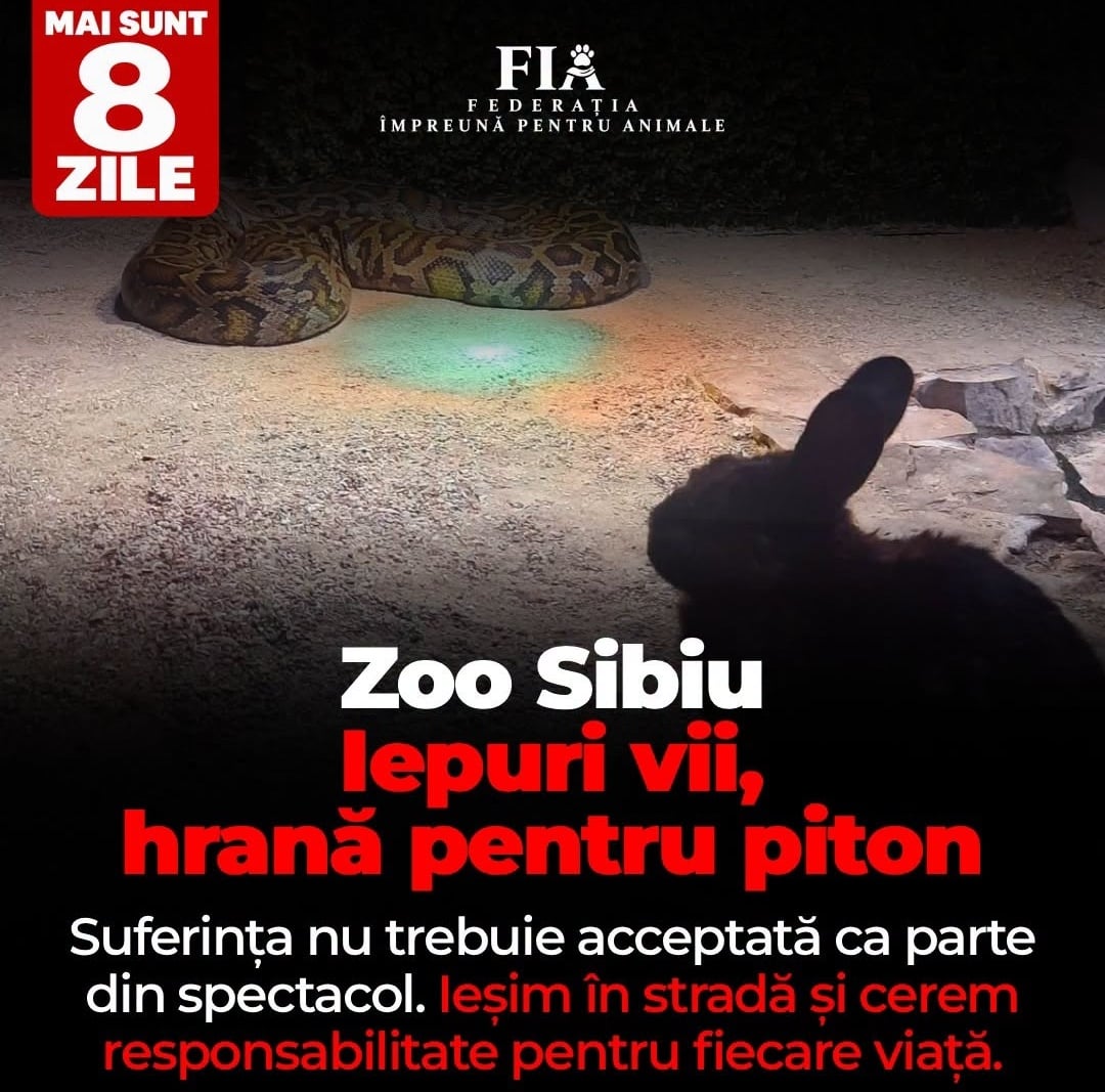 Imaginea răspândită ca fiind de la Sibiu este folosită pentru mobilizare la protest. Foto: Facebook / Federația Împreună pentru Animale