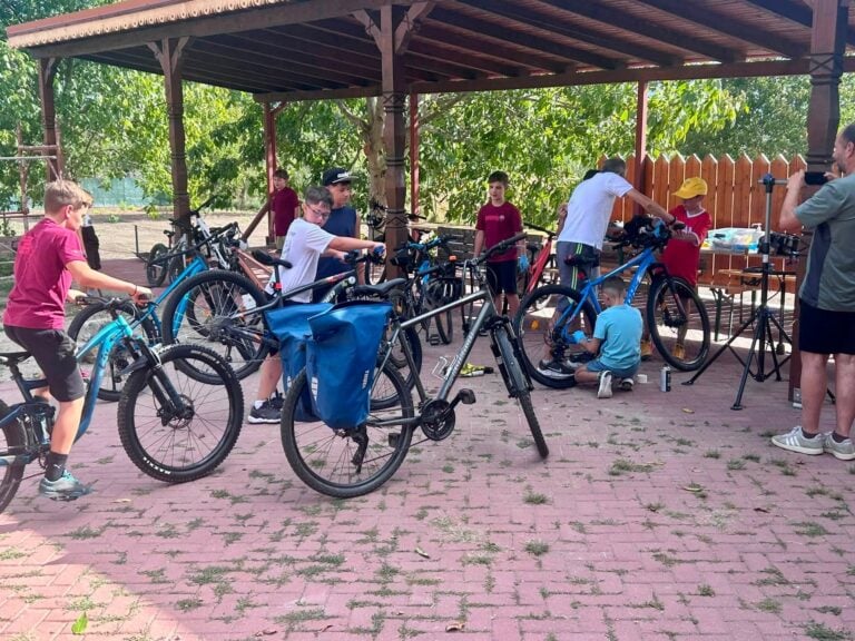 biciclete gusterita 2