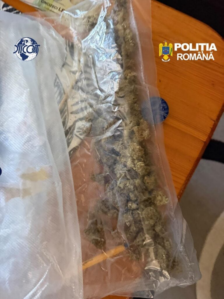 Droguri capturate de polițiști în cadrul acțiunii. Foto: turnulsfatului.ro