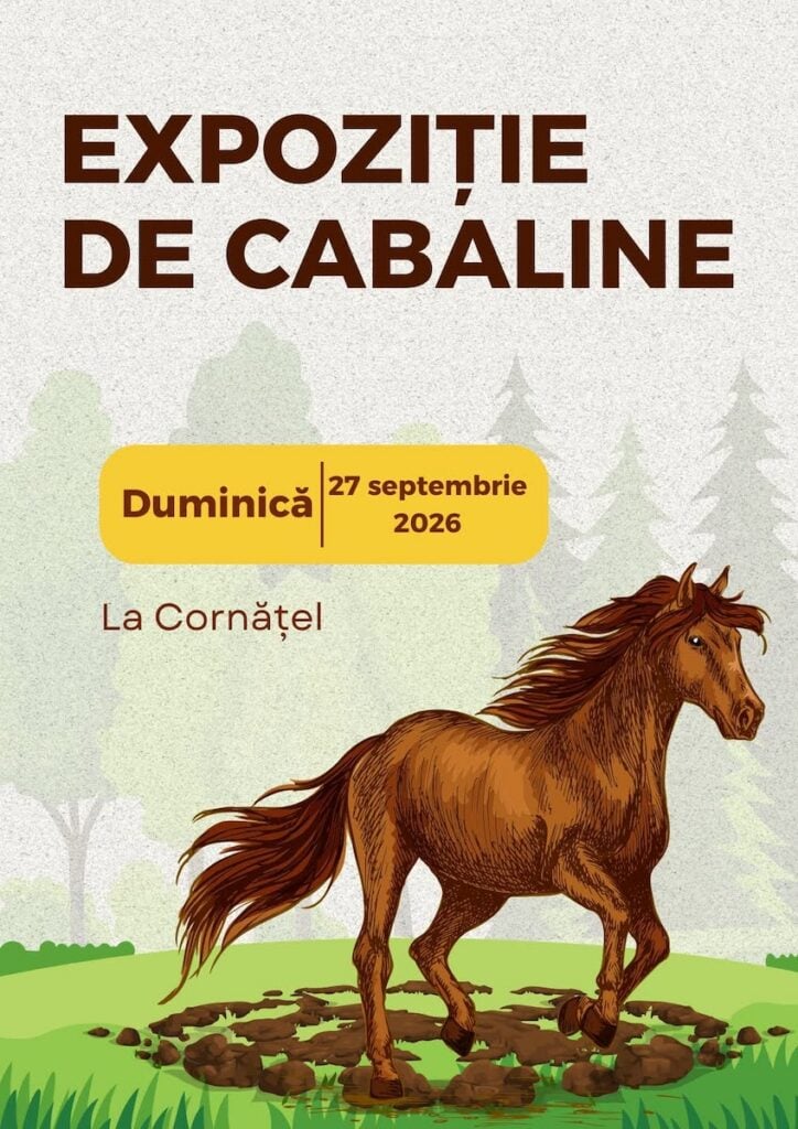 Foto: comuna Roșia/Facebook