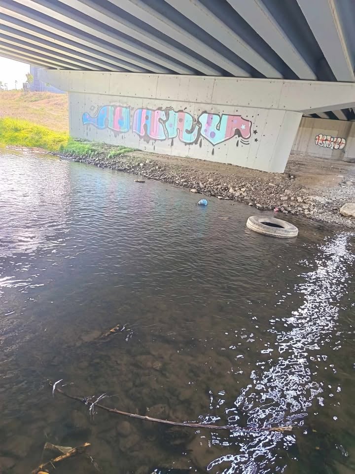 gunoaie cibin