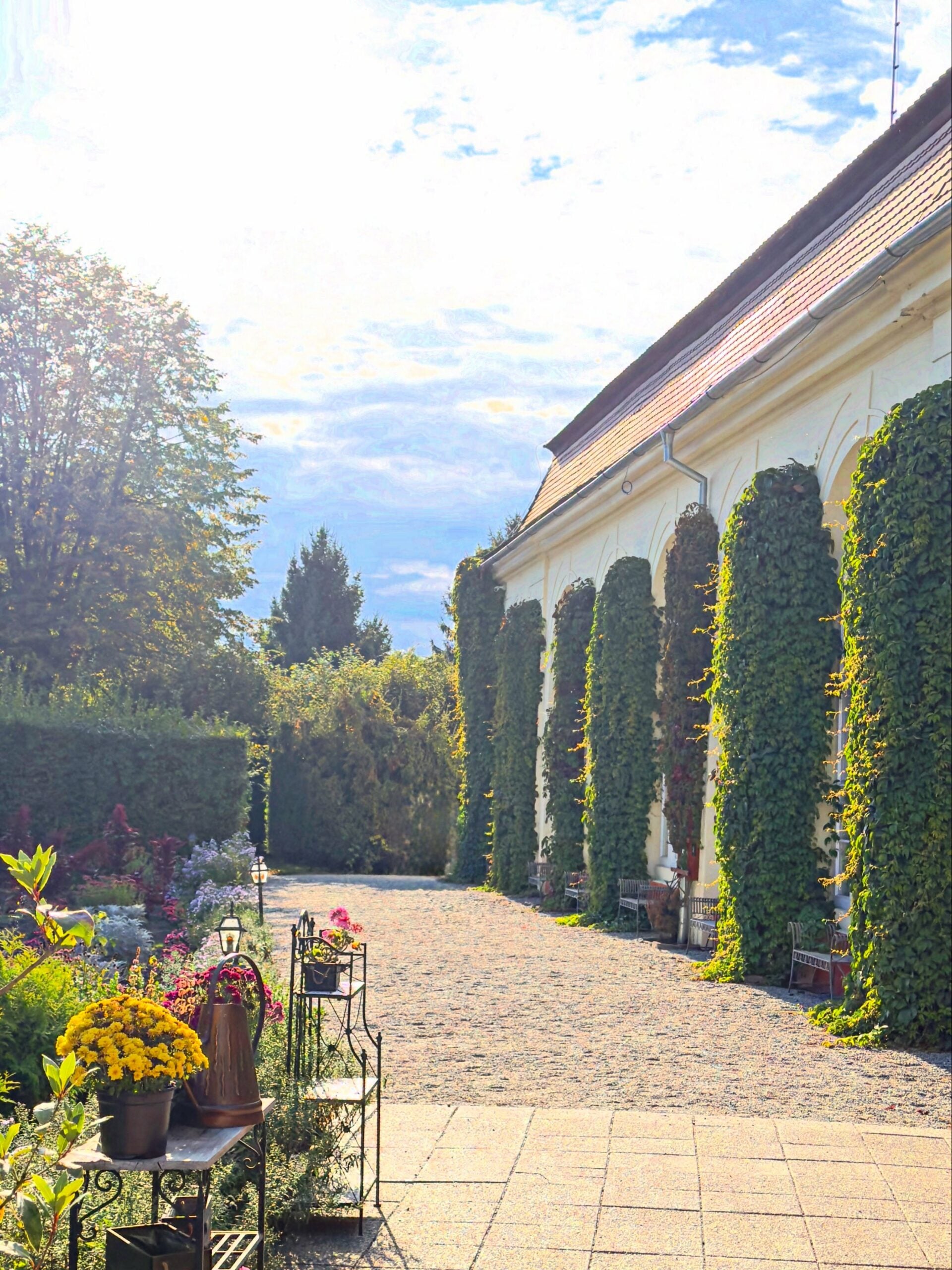 Foto: Palatul Brukenthal/Facebook