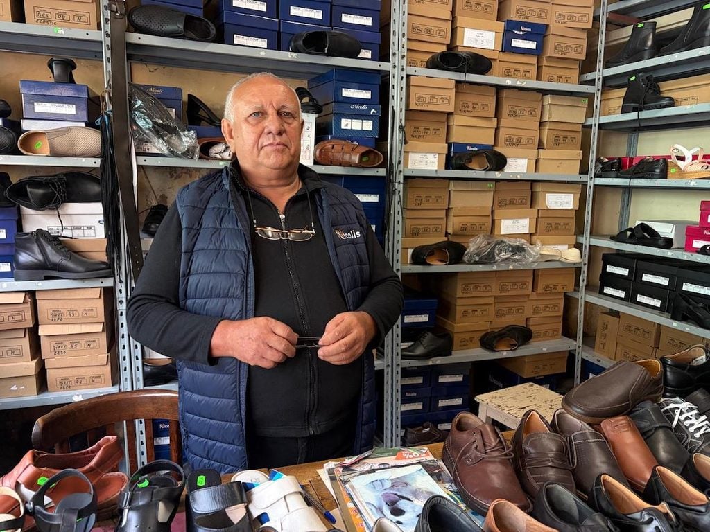 pantofi faurului3