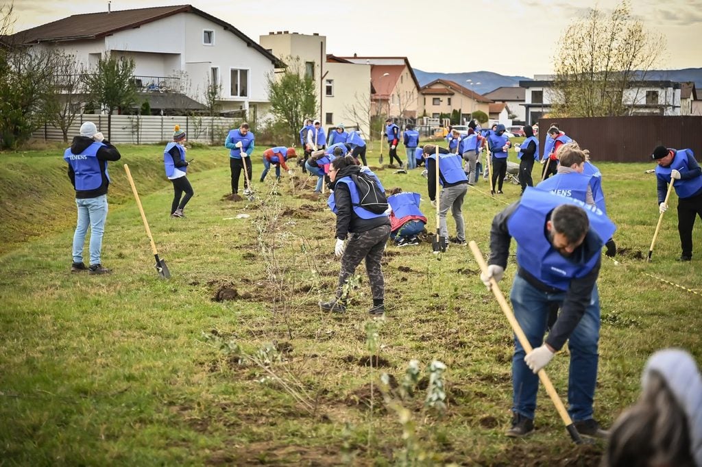 Foto: Facebook / Primăria Municipiului Sibiu