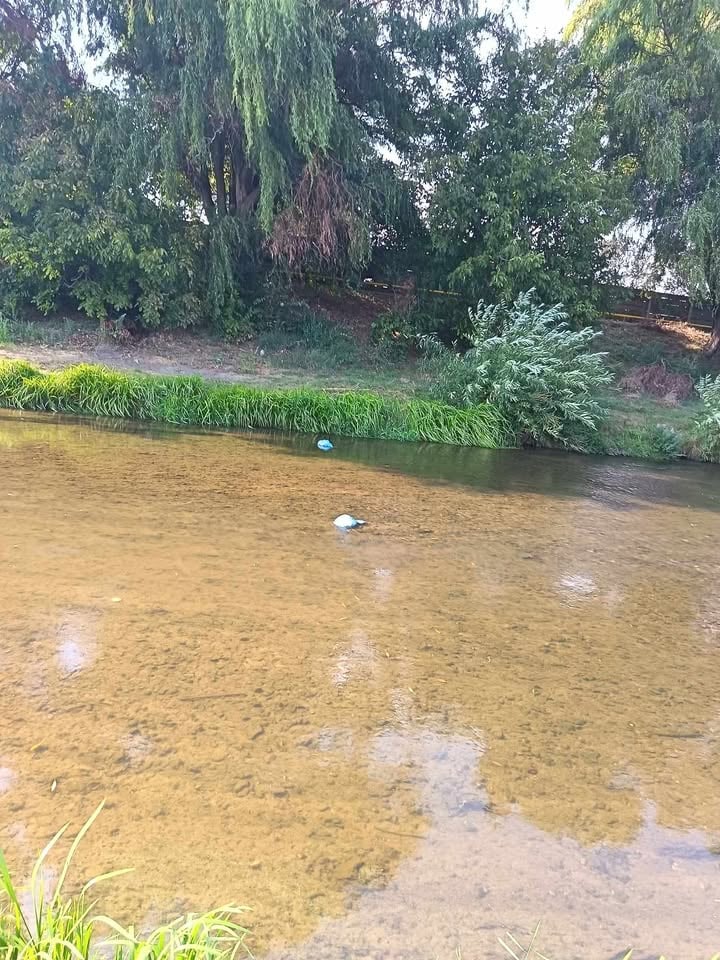 saci deșeuri