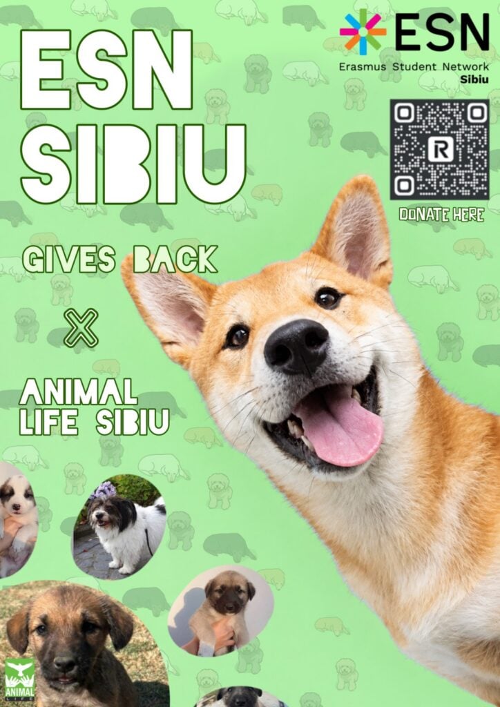 La codul QR din afiș se poate dona pentru Animal Life. Foto: ESN Sibiu