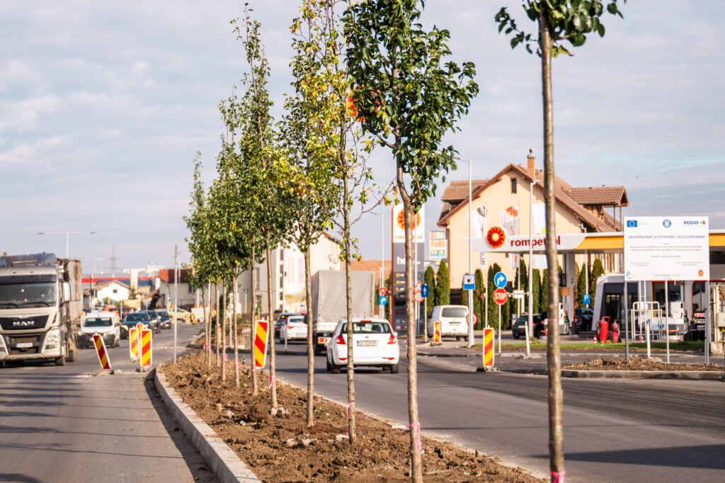 Foto Primărie Sibiu