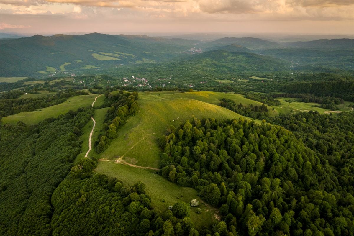 Înființarea Parcului Național Munții Făgăraș provoacă reacții diferite în rândul primarilor din județul Sibiu, care ridică probleme legate de consultarea comunităților, restricțiile asupra terenurilor și prezența animalelor sălbatice. Foto: Daniel Mirlea