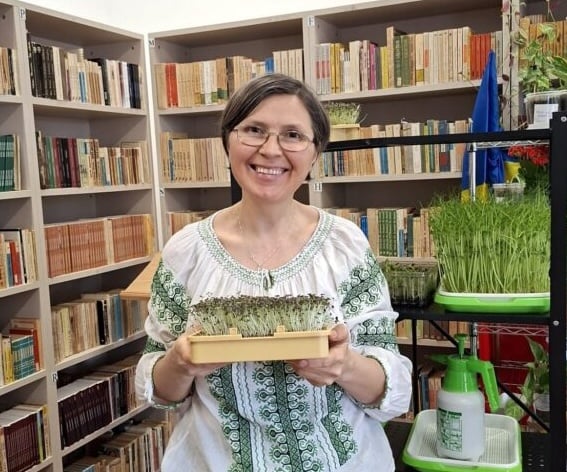 Liceul-avram-iancu-biblioteca5-577x1024