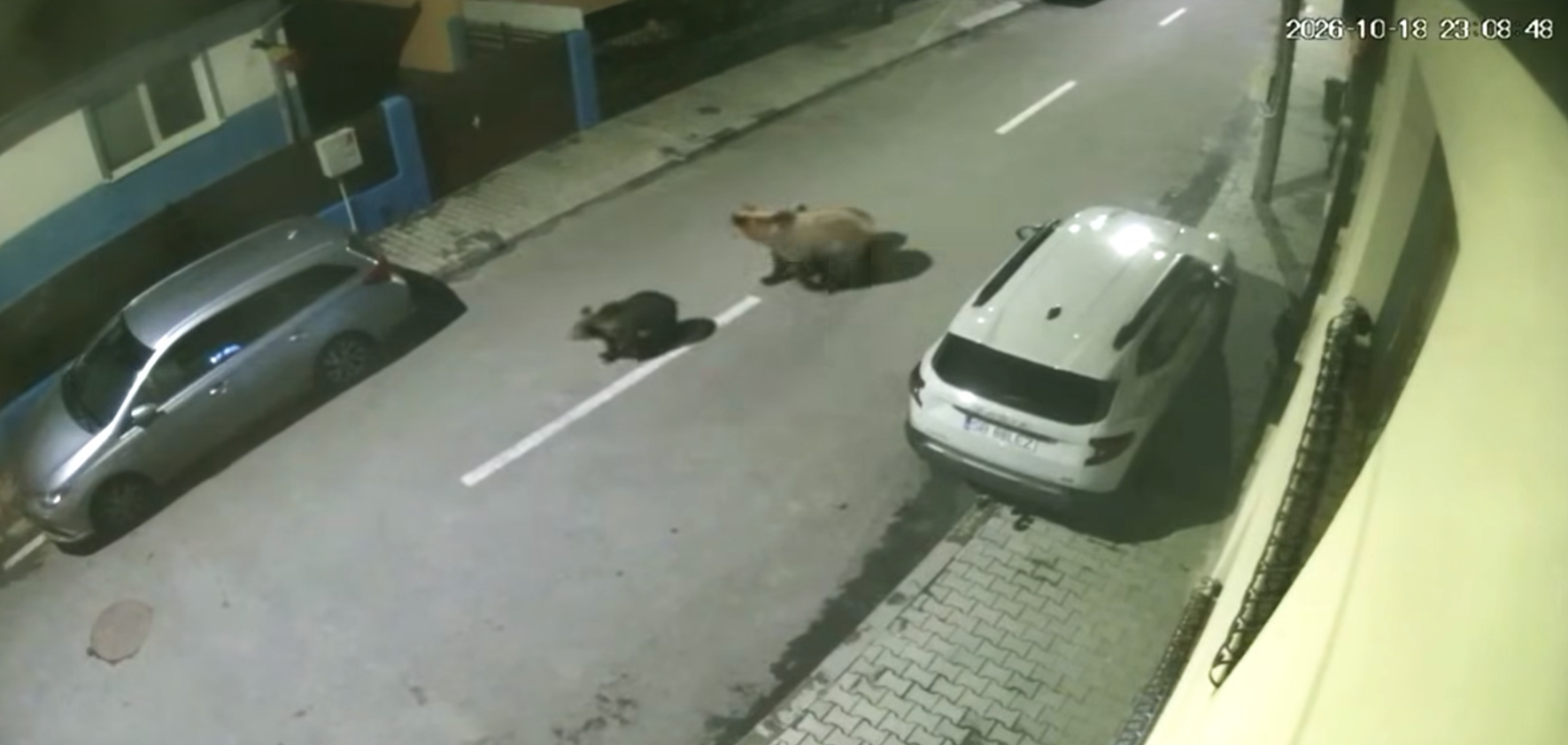 Foto: captură video NovaTV