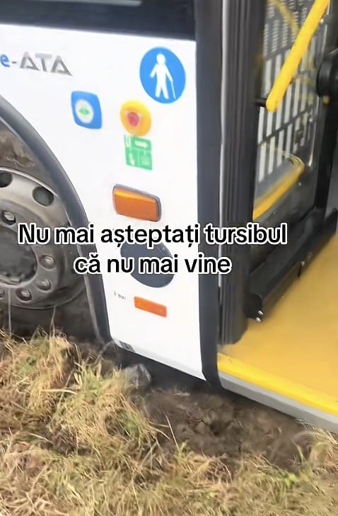 Foto: Captură video Tiktok