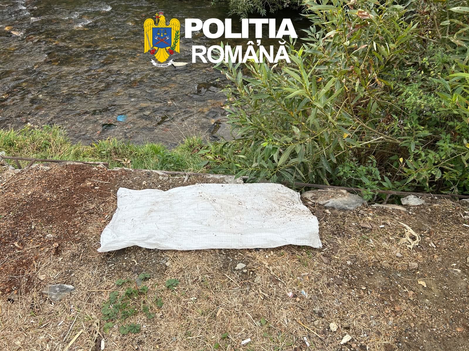 Foto: IPJ Sibiu