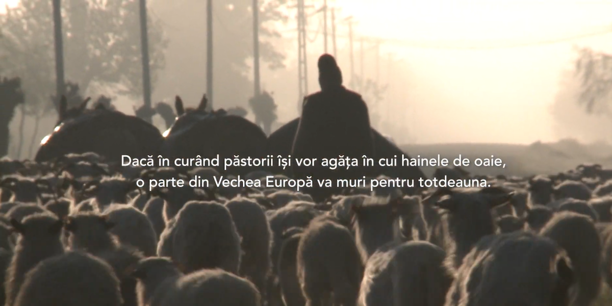 captură film „Calea laptelui”