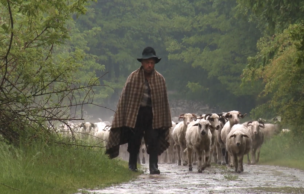 captură film „Calea laptelui”