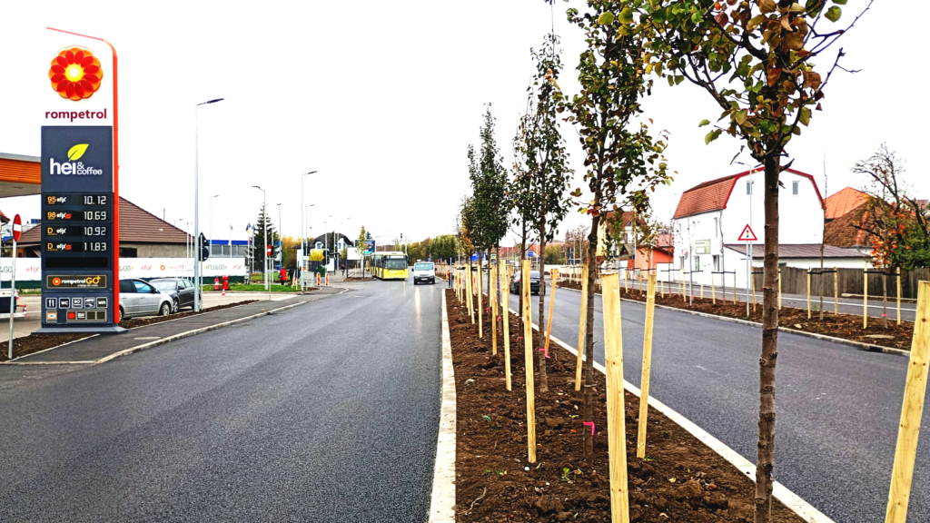 Cele două sensuri, despărțite de arborii plantați pe axul drumului. Foto: turnulsfatului.ro