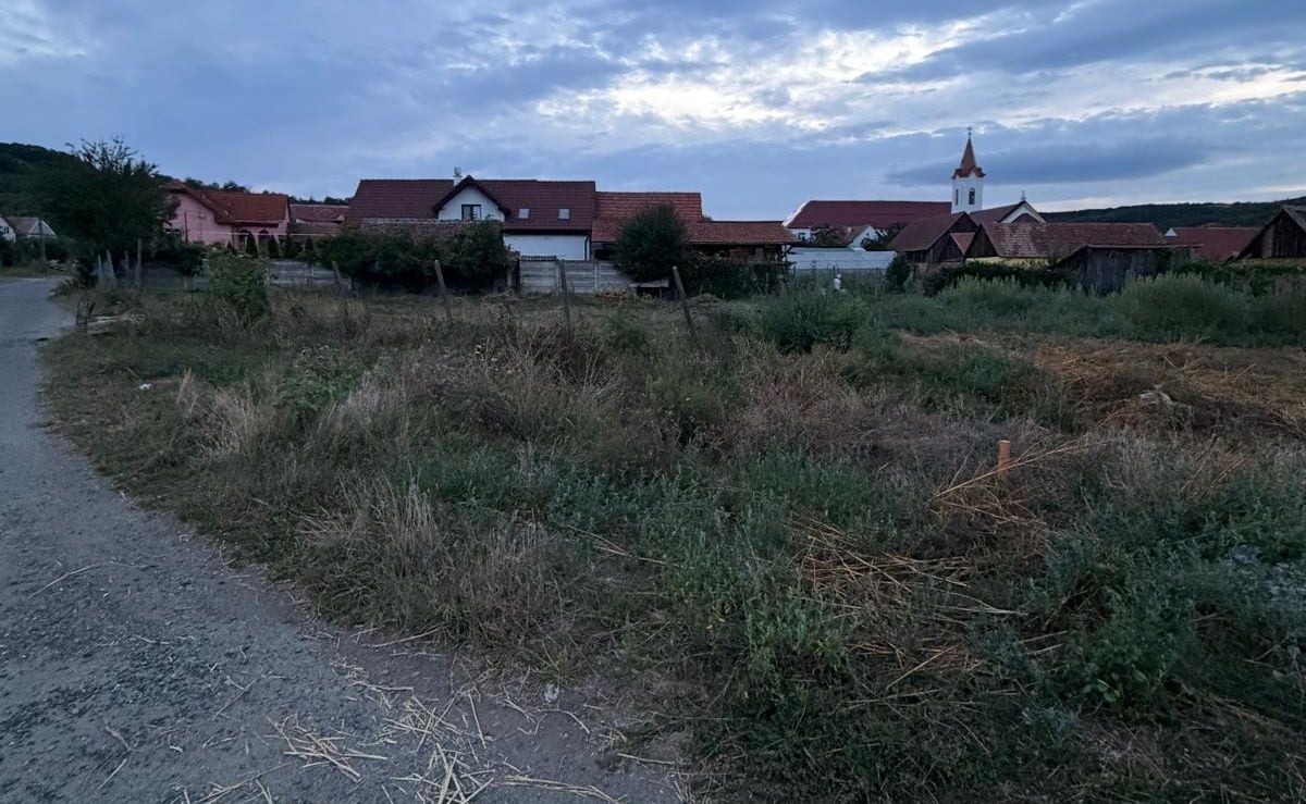 Primarul comunei Loamneș spune că problema semnalată va fi rezolvată până luni. Foto: Nicolae Ivănuș