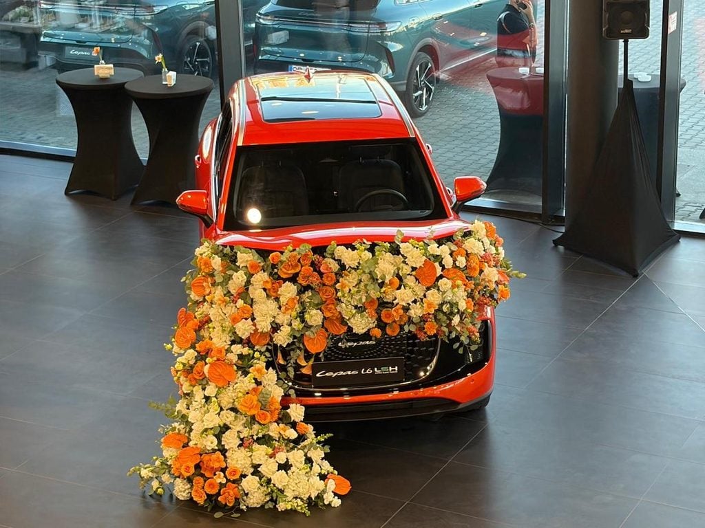 lepas showroom foto ts11