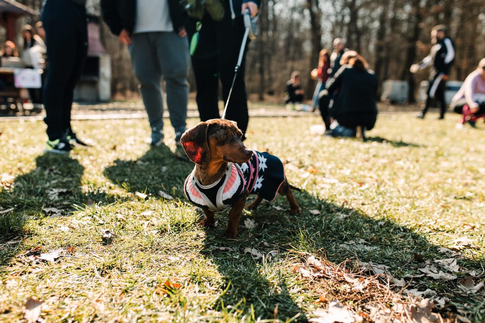Matilda este cățelușa lui Claudiu Prundurel. Foto: arhiva personală