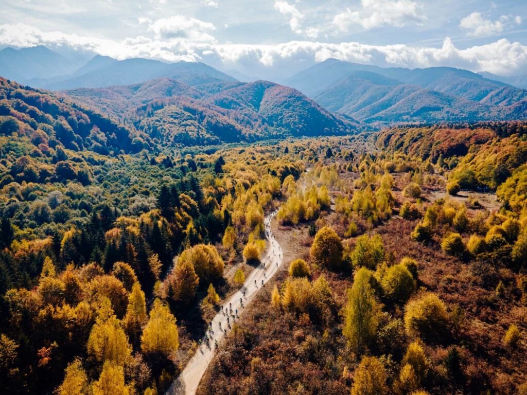 Foto: Facebook | Primăria Orașului Avrig