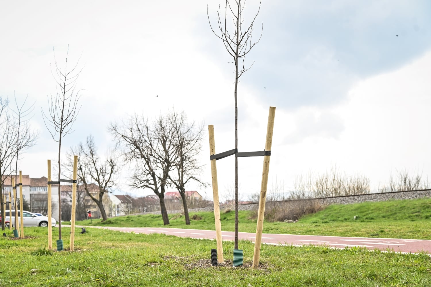 Foto Primăria Sibiu