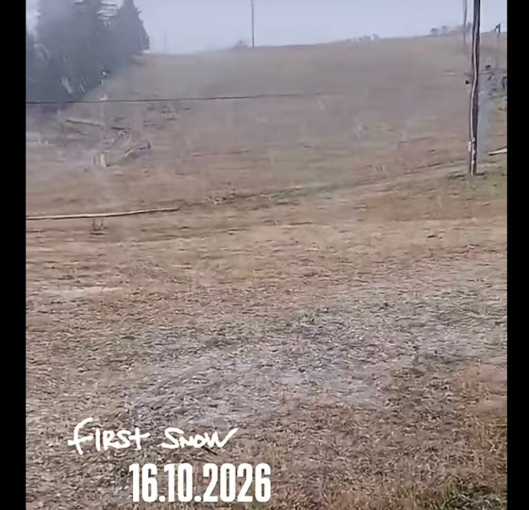 prima ninsoare