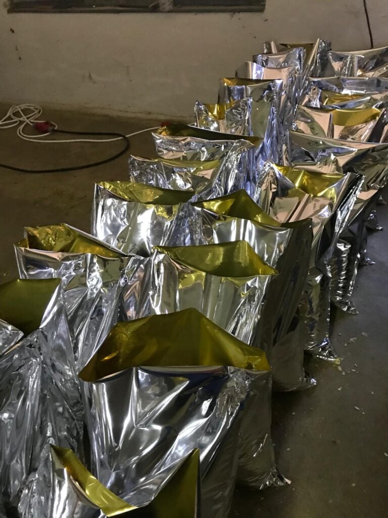 După uscare și peletizare, hameiul este ambalat în saci vidați, în care se introduce azot sau dioxid de carbon pentru păstrarea calității. Foto: Ioan Onea
