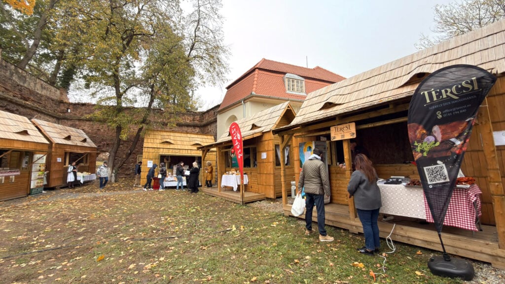 targ montan (6)