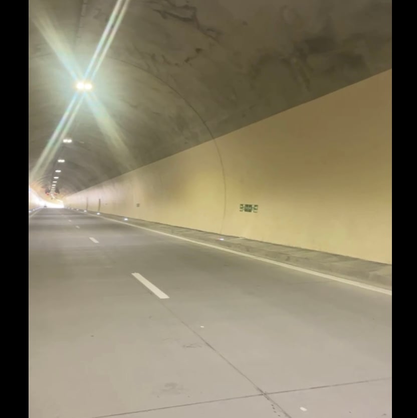 Foto: Captură video Facebook Ionel Scrioșteanu