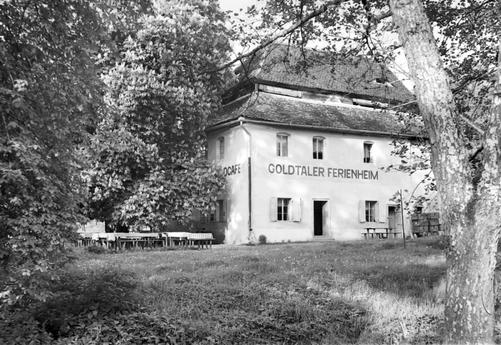 valea aurie istorica1