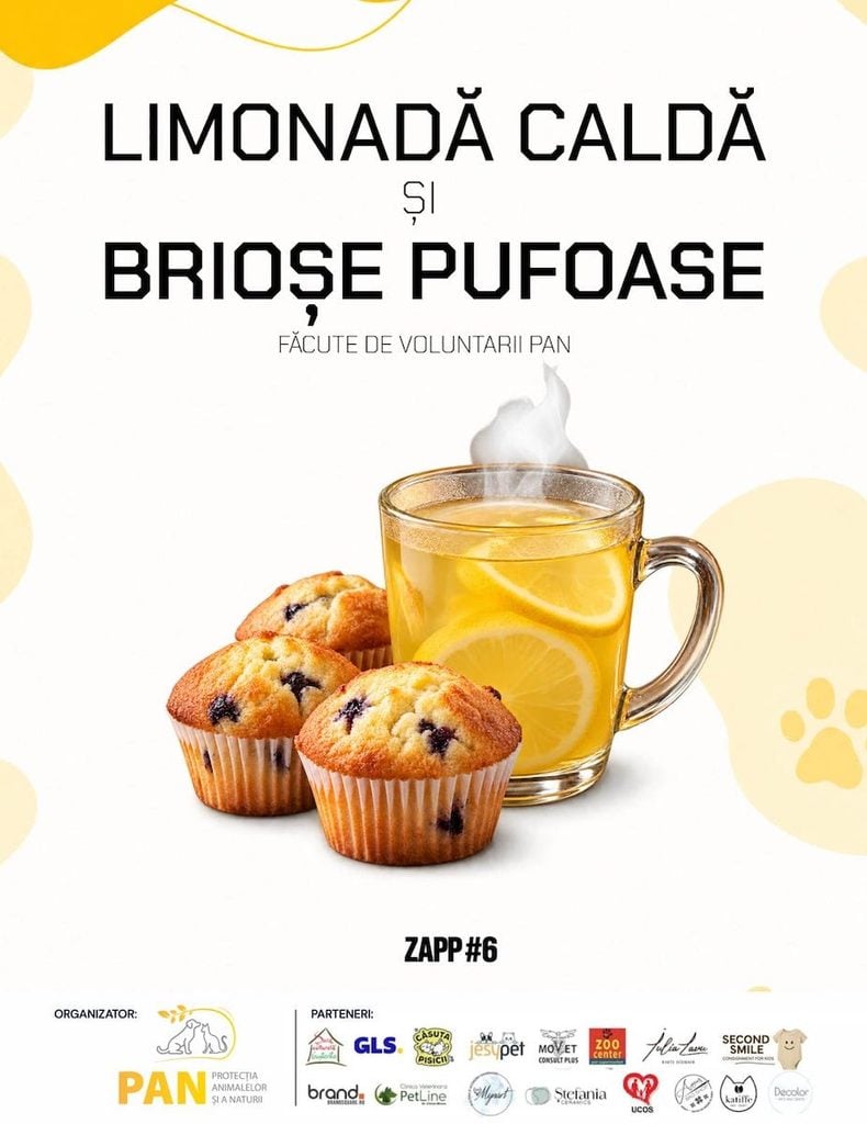 ziua adoptiei pisicile pann15