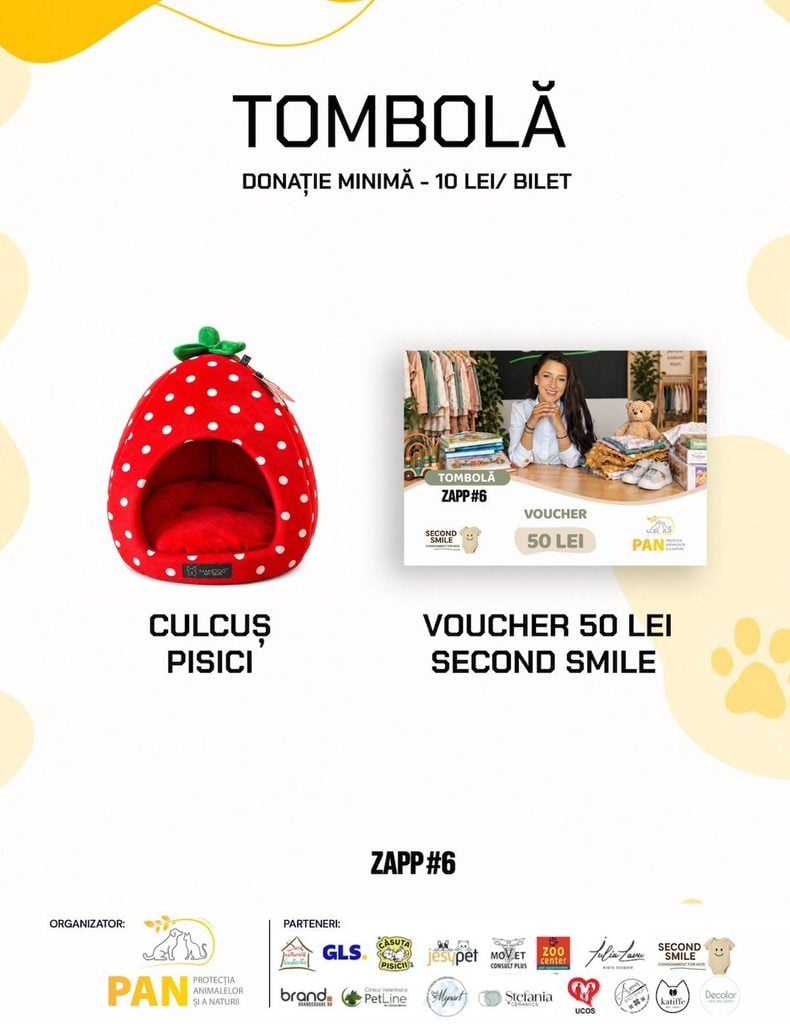 ziua adoptiei pisicile pann16